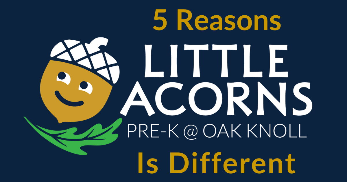 5 Reasons Little Acorns Pre-K @ Oak Knoll Is Different